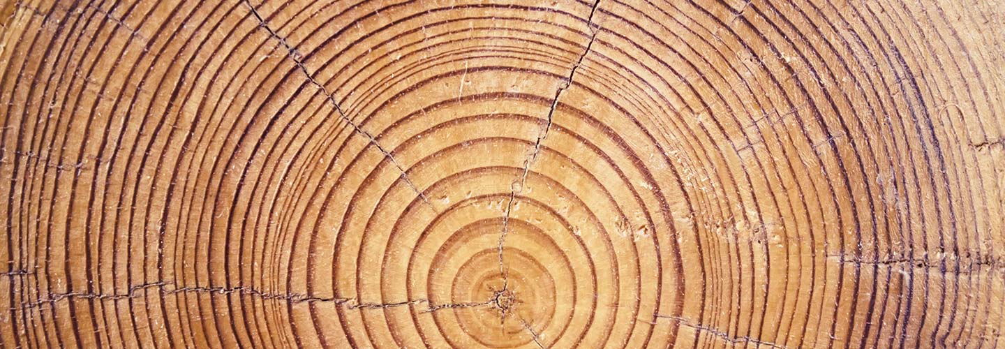 Histoire du Laboratoire INSPHY