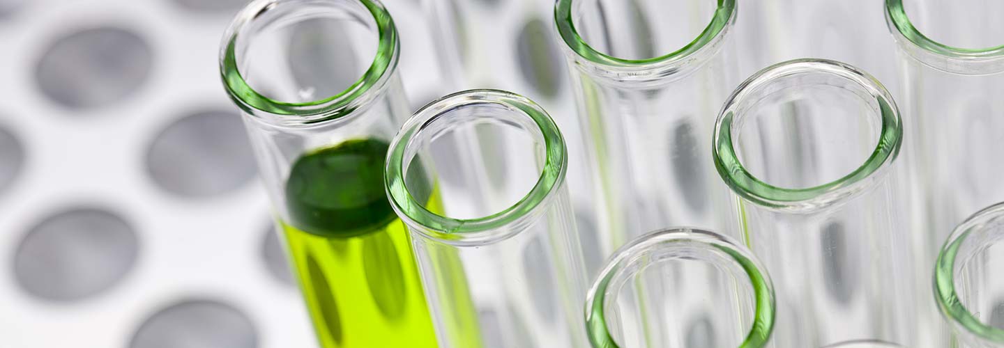 Au coeur du Laboratoire INSPHY